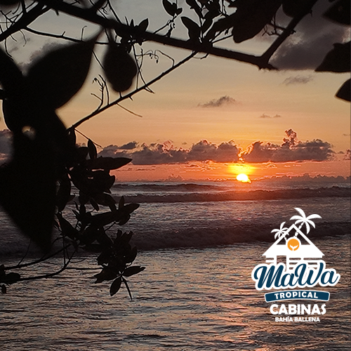 atardecer-mawa