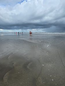 mawa
